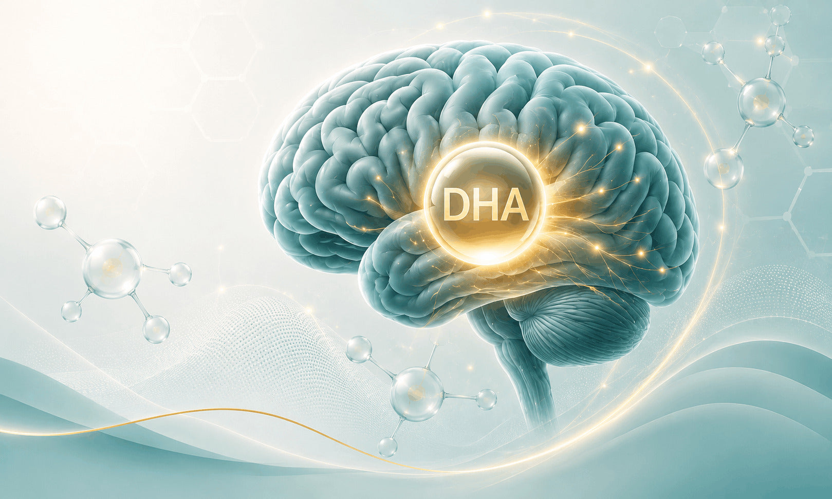 Algae Oil Supplements vs Fish Oil: Which Omega-3 Is Actually Better for Your Brain After 50?