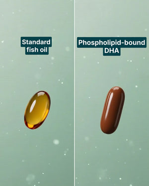 absorption comparison